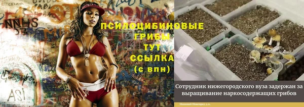 шишки Ахтубинск