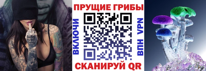Галлюциногенные грибы Magic Shrooms  наркота  ОМГ ОМГ ССЫЛКА  Тихорецк 